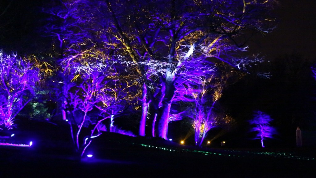 chi-tree-lights-at-morton-arboretum-20141119